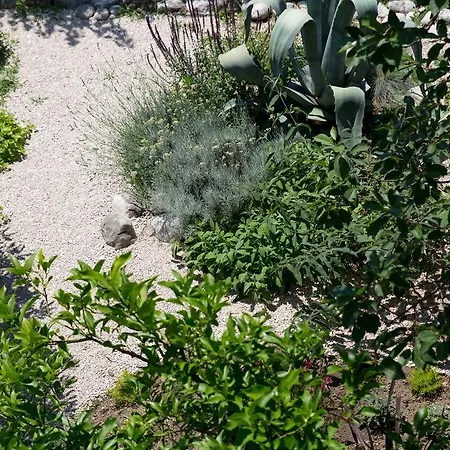 卡萨哥斯达黎加美术馆公寓 3*